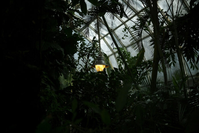 Orangery Interior-daniela-muntyan-OjZ9m8BQ8gQ-unsplash-Web Stock@07-05-2025-18:56:58.jpg
