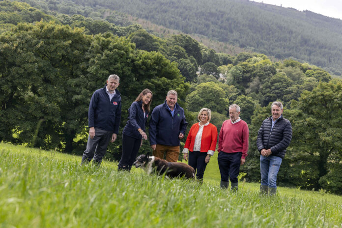 Blackwater Dairygold