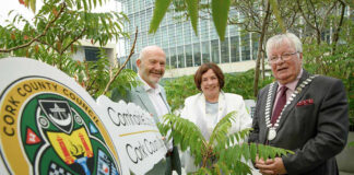 Local groups allocated climate action funding