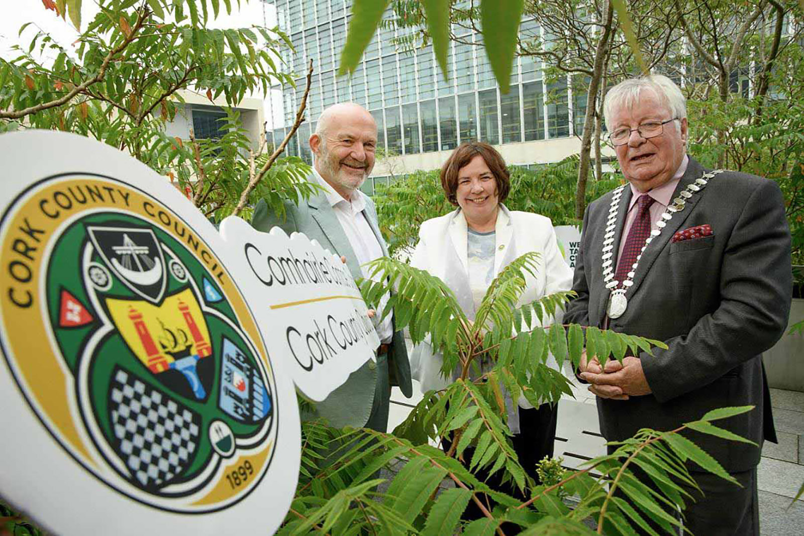 Local groups allocated climate action funding