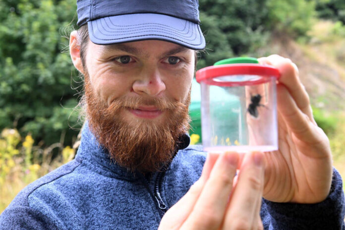 Robbie, one of the volunteers with Nature Network Ireland.