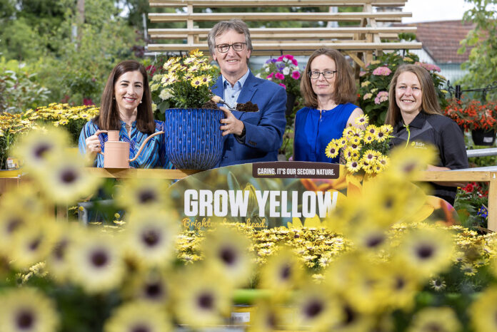 Tirlán CountryLife Grow Yellow +ARTICLE copy