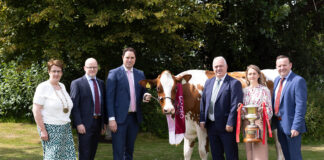 Dairy breeders invited to represent their county in 2025 Diageo Baileys Champion Cow contest