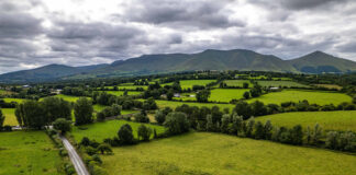 Ballyhoura Development set to champion hedgerow conservation