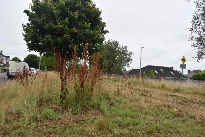 Heather Way Barrys Court Green July 2025 4@22-07-2025-16-25-17 copy