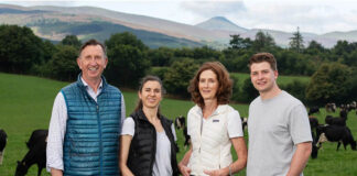 Cahir farm to host milk quality farm walk