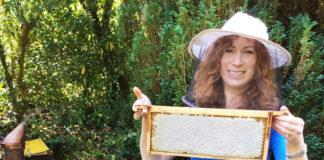 Burncourt beekeeper fears hornet threat