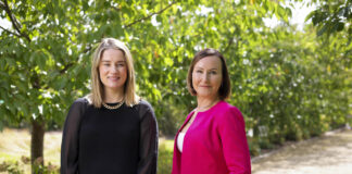 Food, drink and ingredients companies required for leading accelerator programme