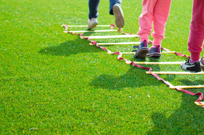 Community Field-pexels-goumbik-296301@15-10-2025-14-15-52 copy