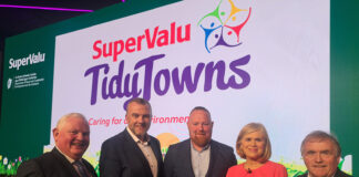 Big gains for local TidyTowns groups, with medal and county success