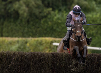 Doneraile top jockey onto a winner