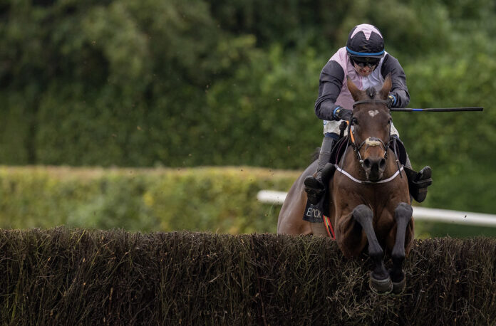 Darragh O Keeffe Heartwood@21-10-2025-13-26-02 copy