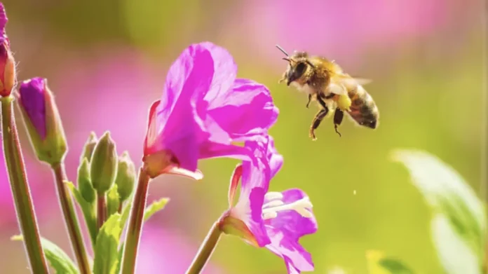 content-production-2-conversation-uk