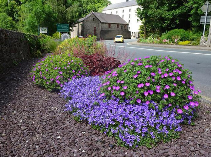 Castletownroche Tidy Towns@04-11-2025-09-20-50 copy