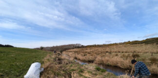 Over €1m for transformative river restoration projects in 2026