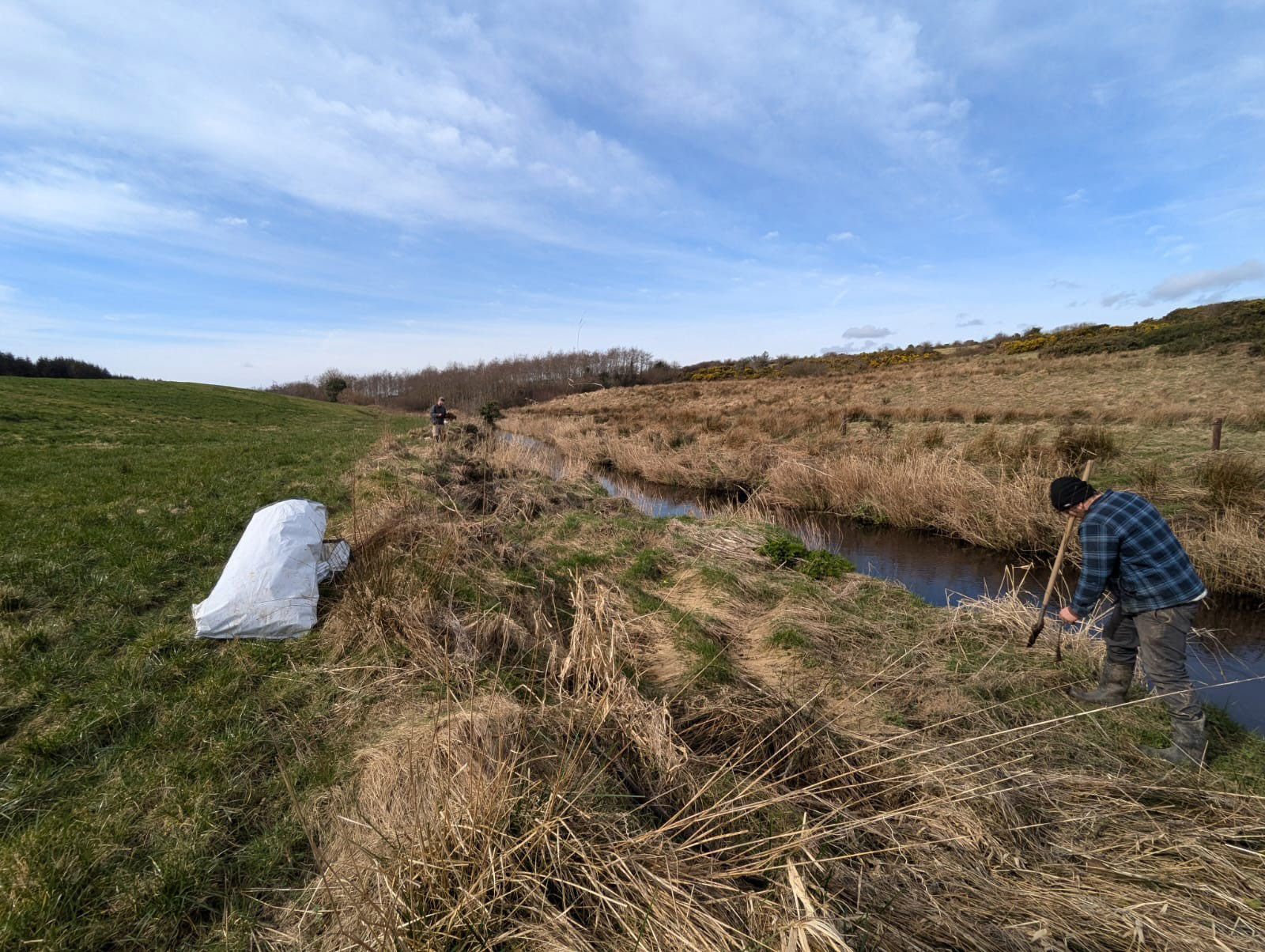 Get involved in river restoration with over €1m for transformative projects in 2026, aiming to improve fish habitats nationwide.