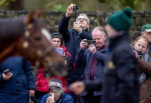 Local studs set to participate in 2026 ITM Irish Stallion Trail