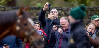 Local studs set to participate in 2026 ITM Irish Stallion Trail