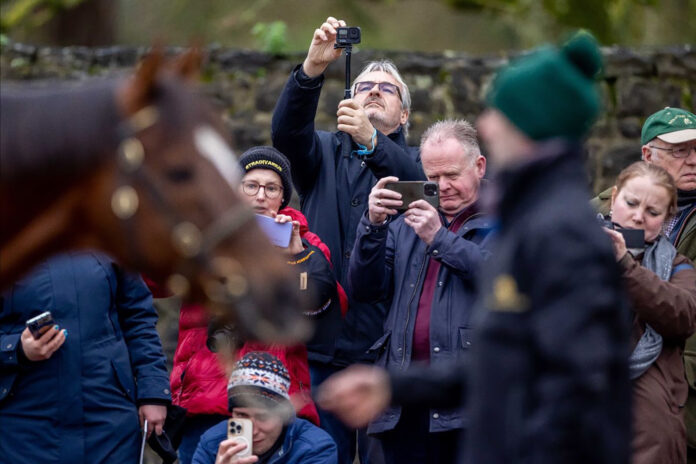 ITM Trail@16-11-2025-20-42-53 copy