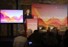 First-of-its-kind dictionary launches for Irish language speakers and learners