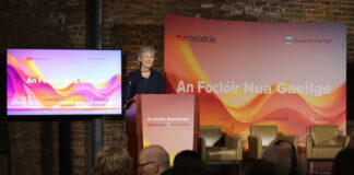 First-of-its-kind dictionary launches for Irish language speakers and learners