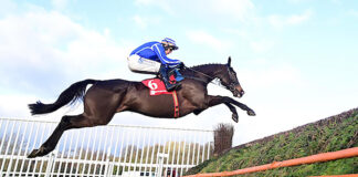 A cracking finale to the 2025 season at Cork Racecourse, Mallow