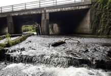 IFI announces opening of new barrier mitigation programme funding round