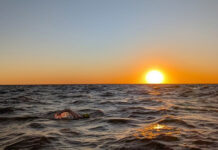 Fermoy’s Owen O’Keefe takes Río de la Plata record in honor of Pat Rice