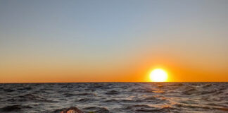 Fermoy’s Owen O’Keefe takes Río de la Plata record in honor of Pat Rice