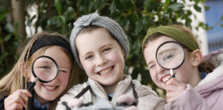 Primary schools invited to take part in National Tree Week photography competition