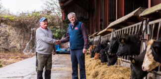 Overall winner of Dairygold malting barley competition set to be announced