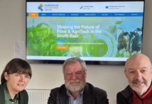 Public consultation on feasibility study in Dungarvan