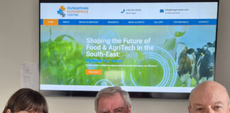 Public consultation on feasibility study in Dungarvan