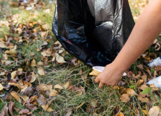 Fermoy ‘bounce back’ in latest IBAL report