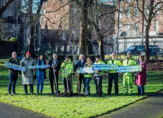 New website launched to record newly planted trees in Limerick