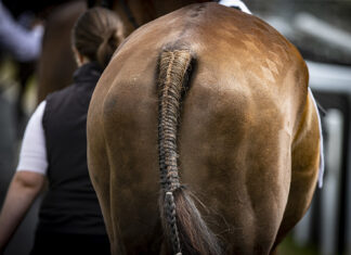 Best turned out league accolades announced by HRI