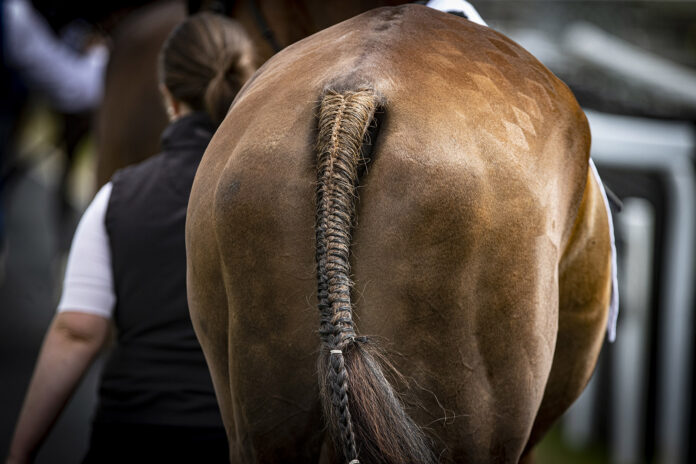 Best Turned Out awards 2026@09-02-2026-16-24-32 copy