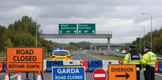 Upcoming night-time road closures and traffic restrictions on the N20