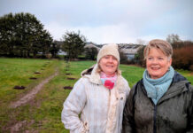 Network Ireland Cork plants community orchards as Sustainable Legacy Project