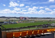 Ireland’s Premier Flat and National Hunt Races to Watch in 2026