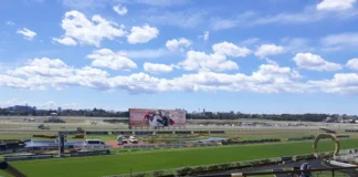 Ireland’s Premier Flat and National Hunt Races to Watch in 2026