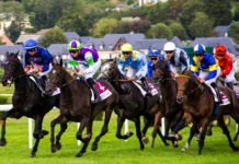 Top Irish prospects heading into Cheltenham