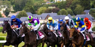 Top Irish prospects heading into Cheltenham