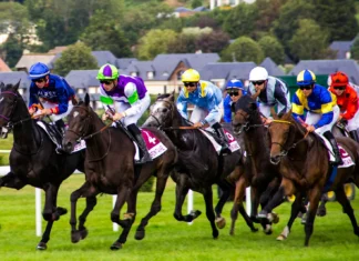 Top Irish prospects heading into Cheltenham