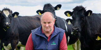 ICMSA say “utter confusion” on new bTB rules must be addressed immediately