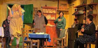 Anglesboro Drama Group brings Friel classic to life this March