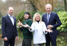 Putting seafood on the schools’ curriculum