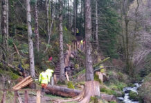 Impressive progress at Ballard Waterfall trail