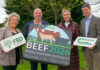 County Meath venue for Teagasc BEEF2026 Open Day