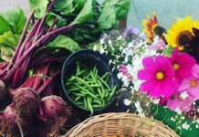 Free seasonal eating workshop for climate impact